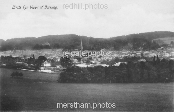 Image number 1343&prevurl=dorking
