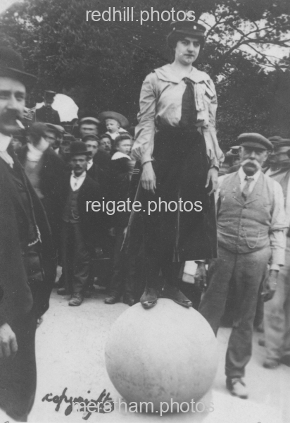 Image number 3131&prevurl=misc