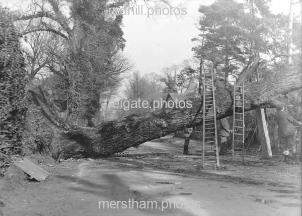 Image number 3376&prevurl=oldroad