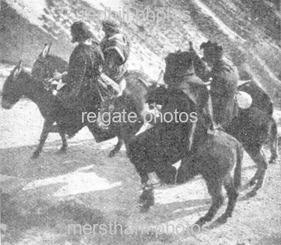 Image number 3409&prevurl=pageant