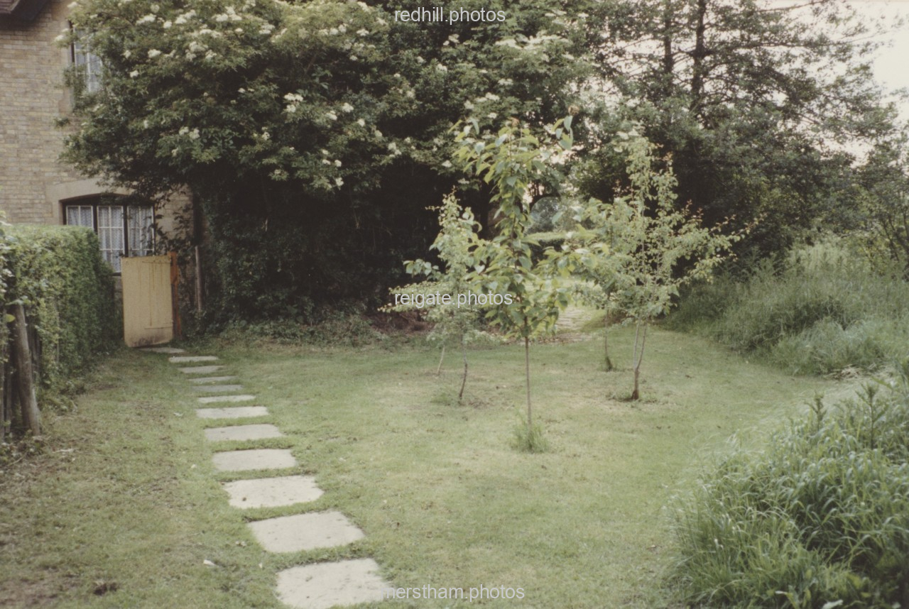 Image number 8618&prevurl=whatsnew